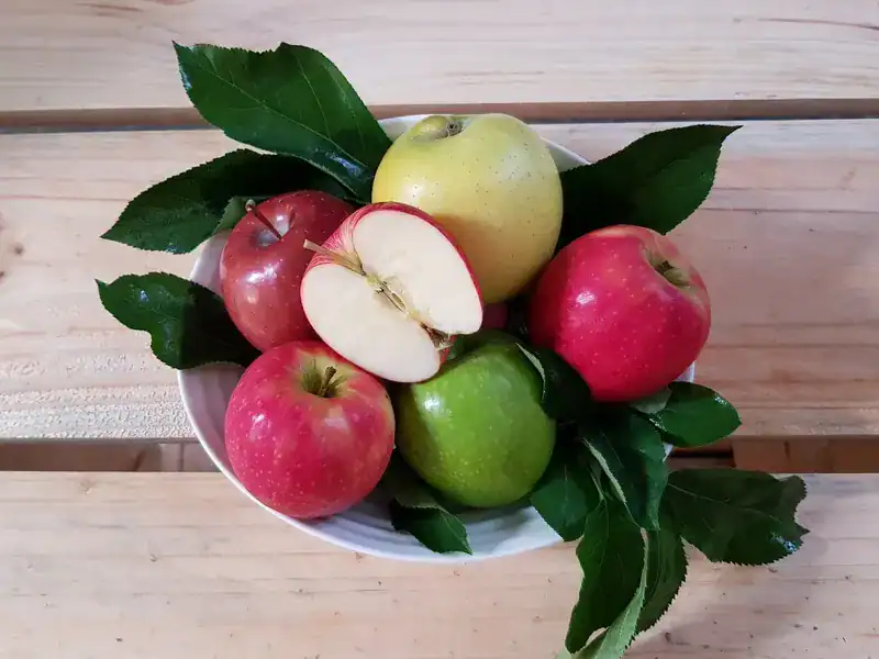 bowl of different apples