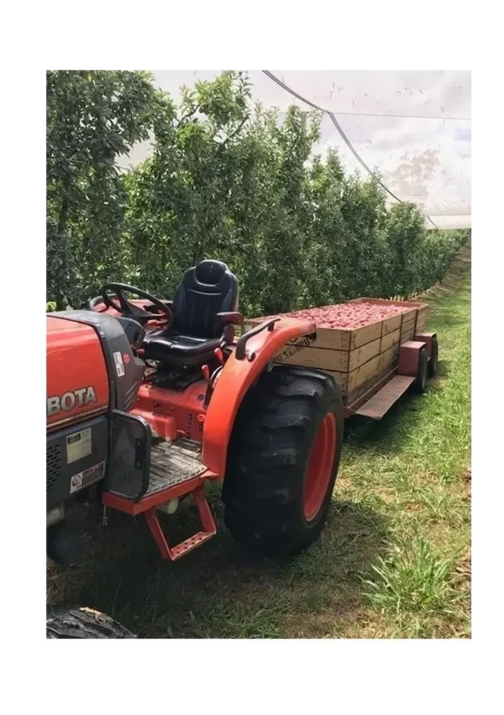 Tractor